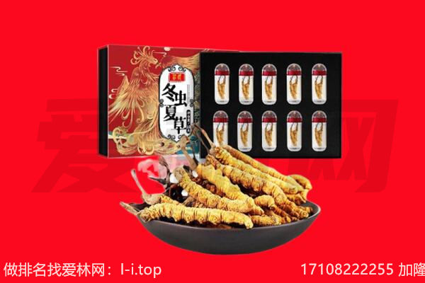 衡阳市回收虫草.jpg